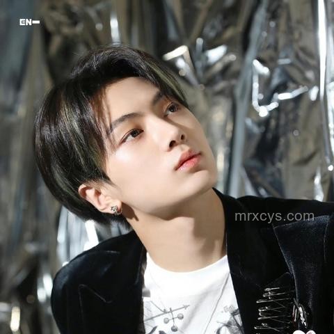 ENHYPEN抖音大明星專訪：K-pop偶像團體的新媒體營銷洞察