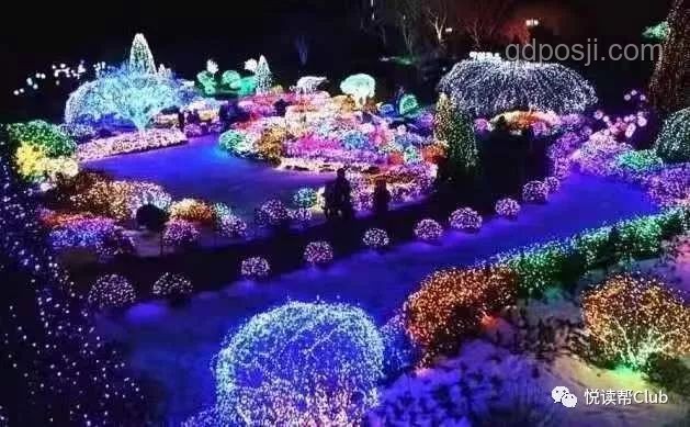 香港四大才子隕落：文化星空下的璀璨與傳承