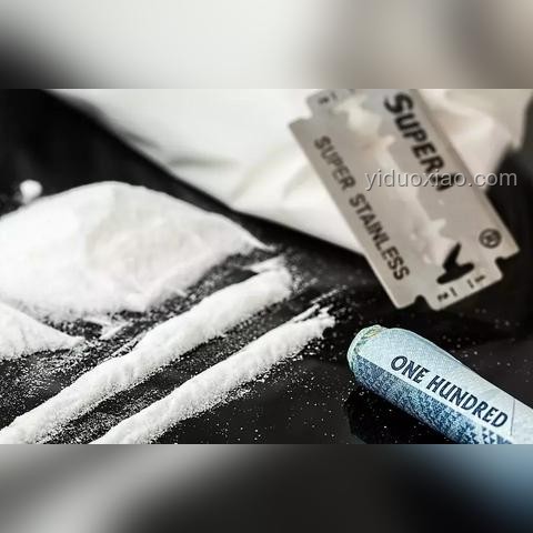 毒駕入刑呼聲高漲：從個案看未來法律趨勢