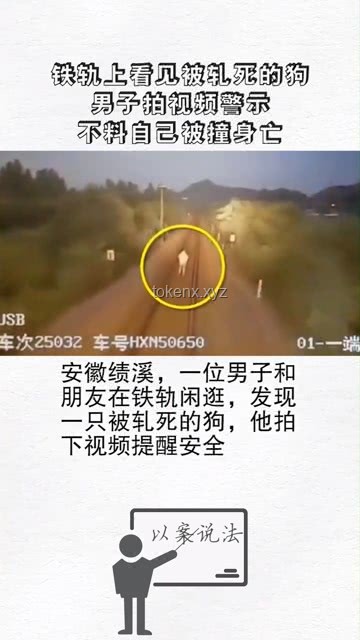 毒駕悲劇后的警示：生命在放縱與抉擇間搖曳
