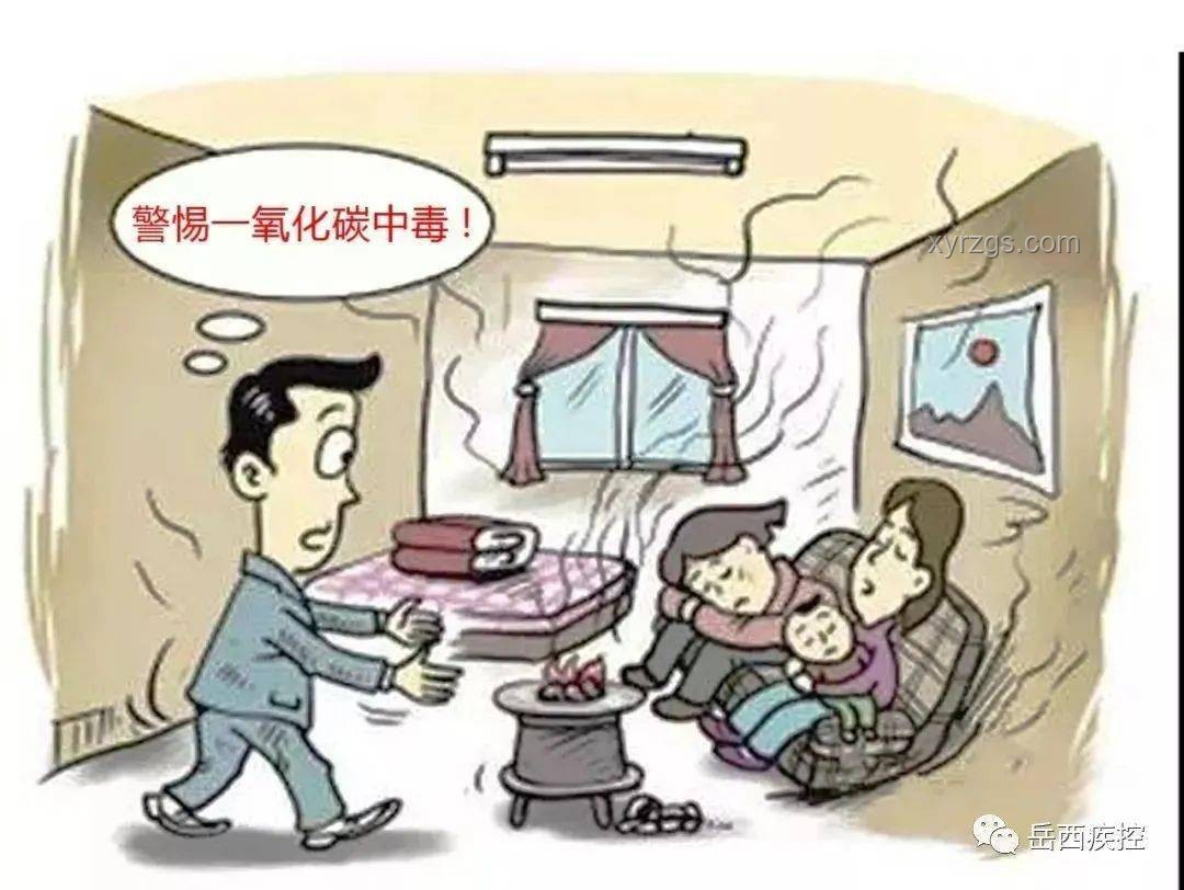 毒駕危害與防范：從悲劇中汲取教訓