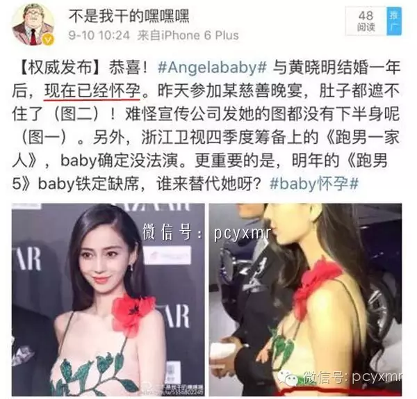 楊采鈺孕事引發熱議：明星隱私與公眾關注平衡點探索