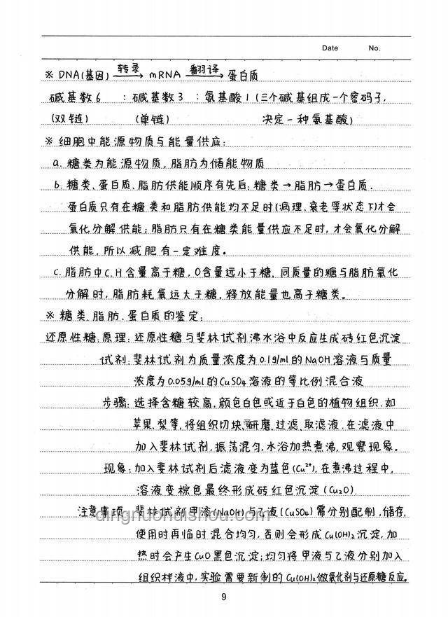高考狀元效應下的家庭店鋪火爆現象解析