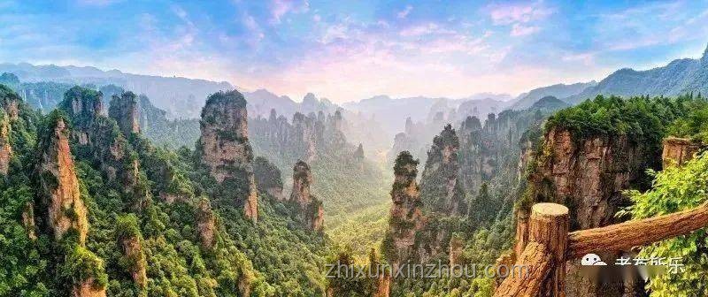 蟬尿之謎：一場關于自然與誤解的探索之旅??