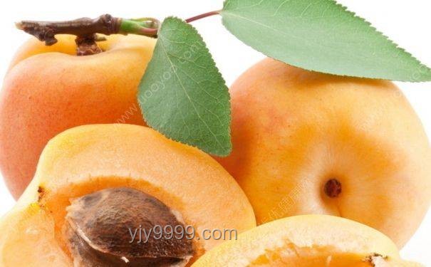 昂貴水果的甜蜜陷阱：好吃不貴值嗎？