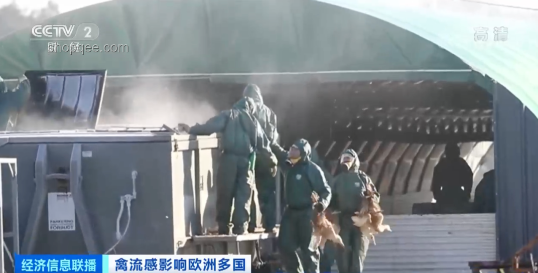 貴州榕江拉響全城警報：超50年一遇特大洪災深度分析