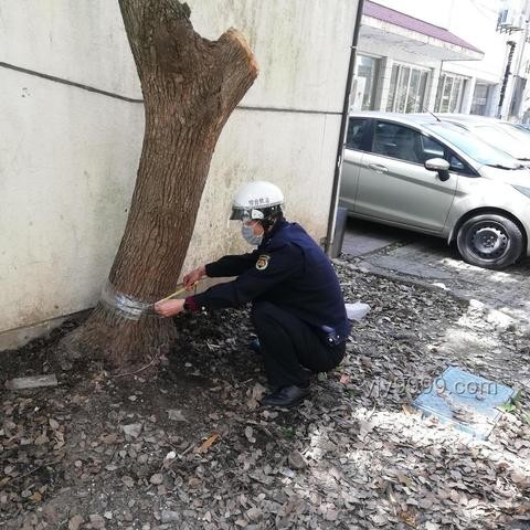 公共場所故意裸露身體隱私部位處罰深度分析