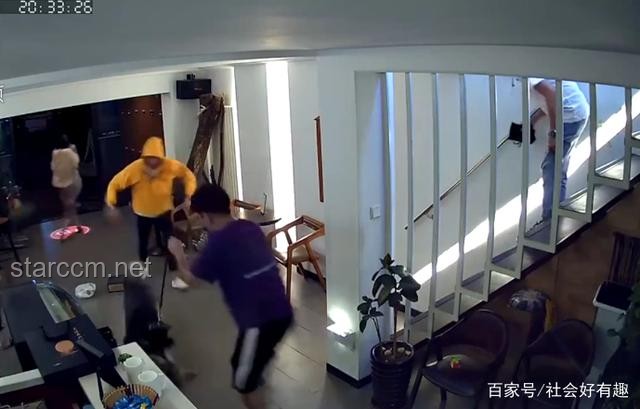 女子遭未拴繩狼犬咬傷案：賠償爭(zhēng)議與法規(guī)探討
