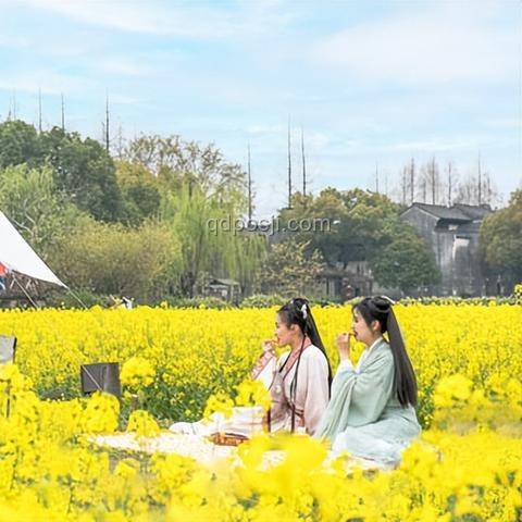 花樣新夜態：文旅創新引擎，夏夜燃情跨界探索