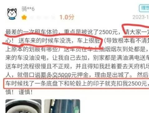 冰島租車天價索賠事件：平臺回應與行業透視