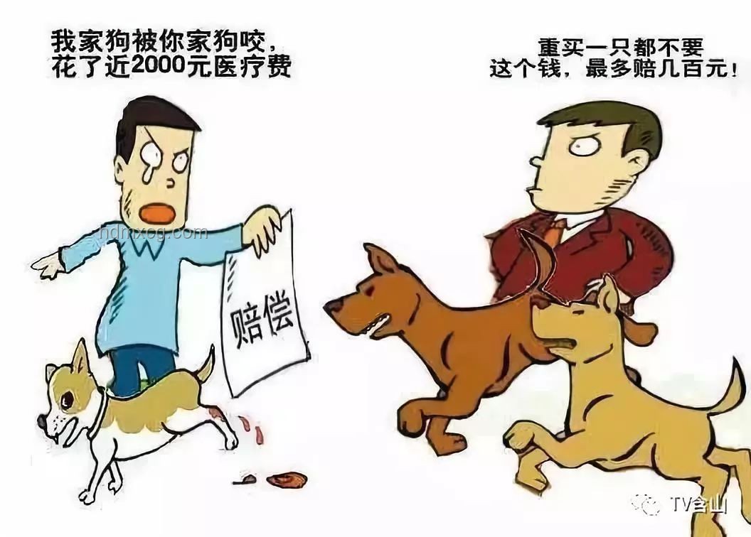 最新法規嚴懲違法出售飼養烈性犬行為：意義深遠的社會治理創新