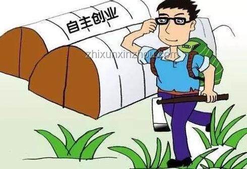 市場不缺錢！如何有效利用市場資金進行創業或項目拓展
