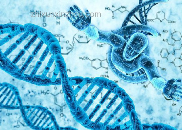 哈人！昆蟲恐怖故事背后的科學解析與趨勢洞察