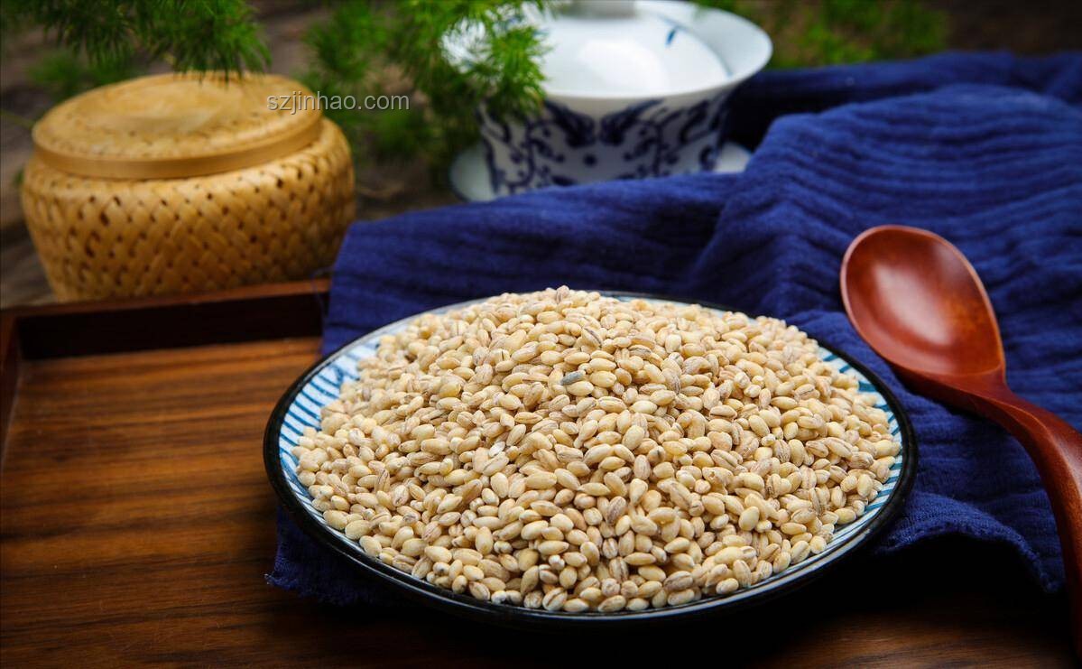 昆蟲恐懼經濟崛起：哈人故事背后的新趨勢