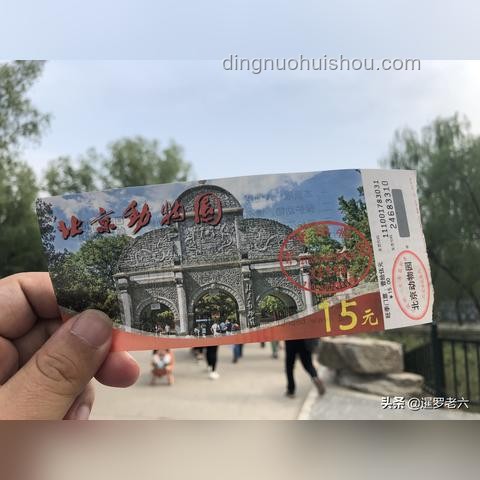 動物園門票風波：個人碼收款千萬的反思與啟示