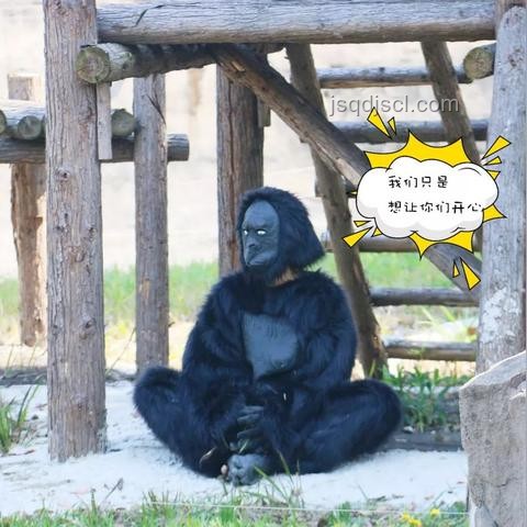 動(dòng)物園門票違規(guī)收費(fèi)解決方案