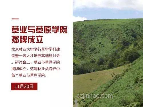 十年前冷門專業，如今翻紅成熱門