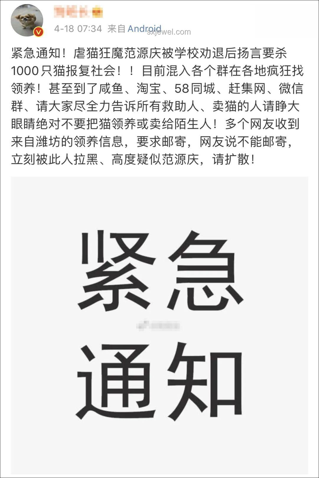 虐貓事件頻發，未來招聘資格審核將趨嚴