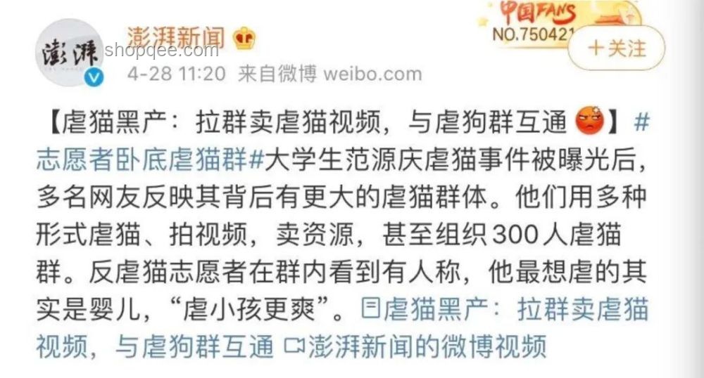 虐貓考生被取消招聘資格：如何避免職場道德爭議