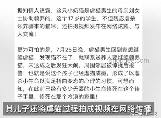 虐貓考生被取消招聘資格：如何避免職場道德爭議
