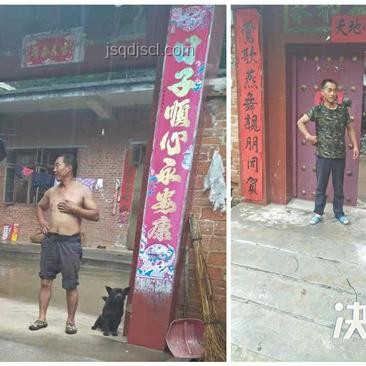 河南西峽極端強降雨應對指南：保障安全，減少損失