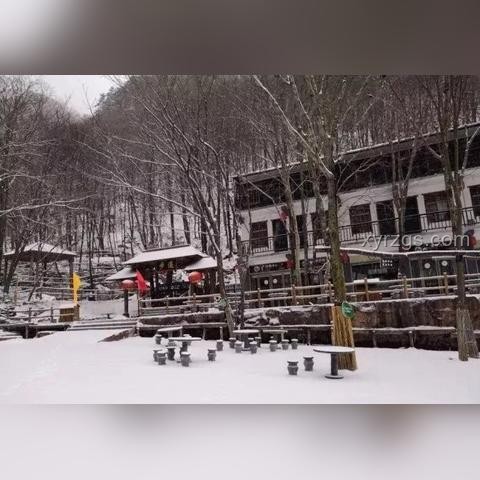 河南西峽極端強降雨災害影響與行業反思