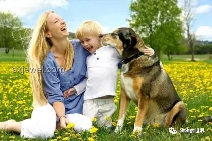 ??網(wǎng)傳全國(guó)禁養(yǎng)犬名單真相揭秘：一場(chǎng)誤會(huì)的心路歷程??