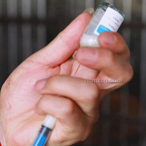 “和尚爸爸”涉嫌詐騙事件深度調(diào)查