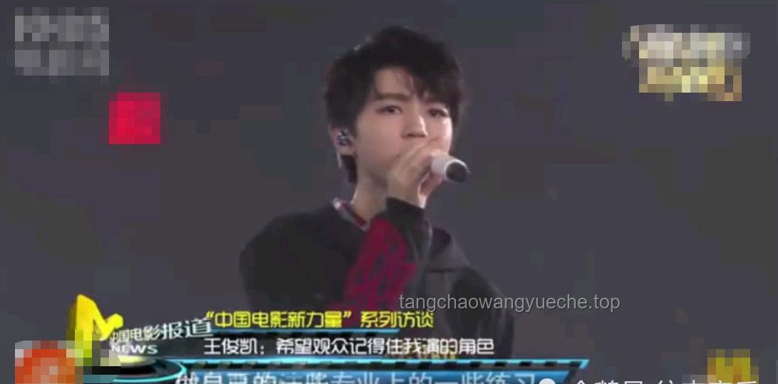 王俊凱有了新身份：上合組織國家電影節青年大使的深度剖析