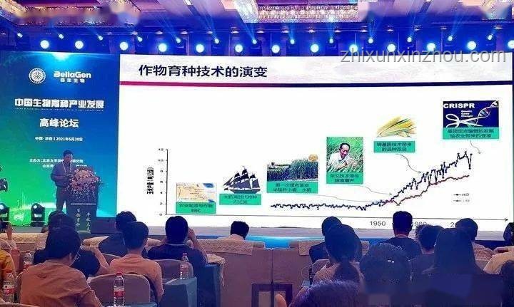 2025高考查分新趨勢：智能化、便捷化與安全保障升級