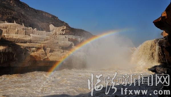 壺口瀑布公驢投訴事件深度剖析：動物行為管理與游客體驗平衡