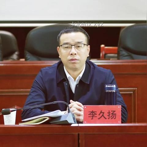 中國共產黨黨內統計公報：數據驅動的創新治理新篇章，跨界融合視角