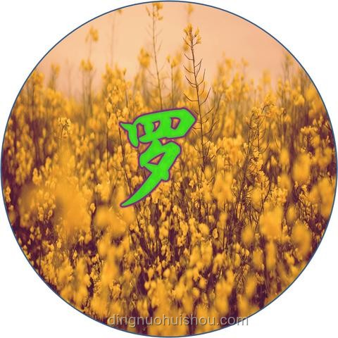 孫吧頭像含義探究，解析網(wǎng)絡(luò)社群文化符號(hào)