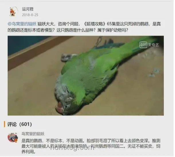 虐貓事件與招聘資格：道德底線與職業準入的對比分析
