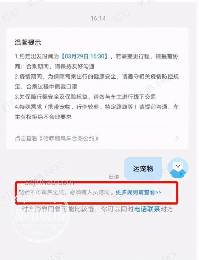 虐貓事件頻發，未來招聘資格審查或將更趨嚴格