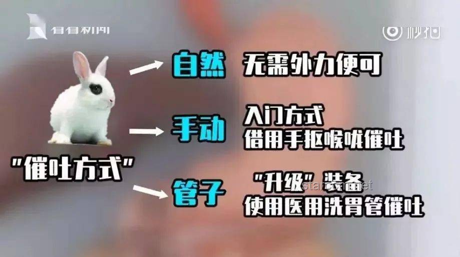 良子的胃袋：流量狂歡下的生命代價