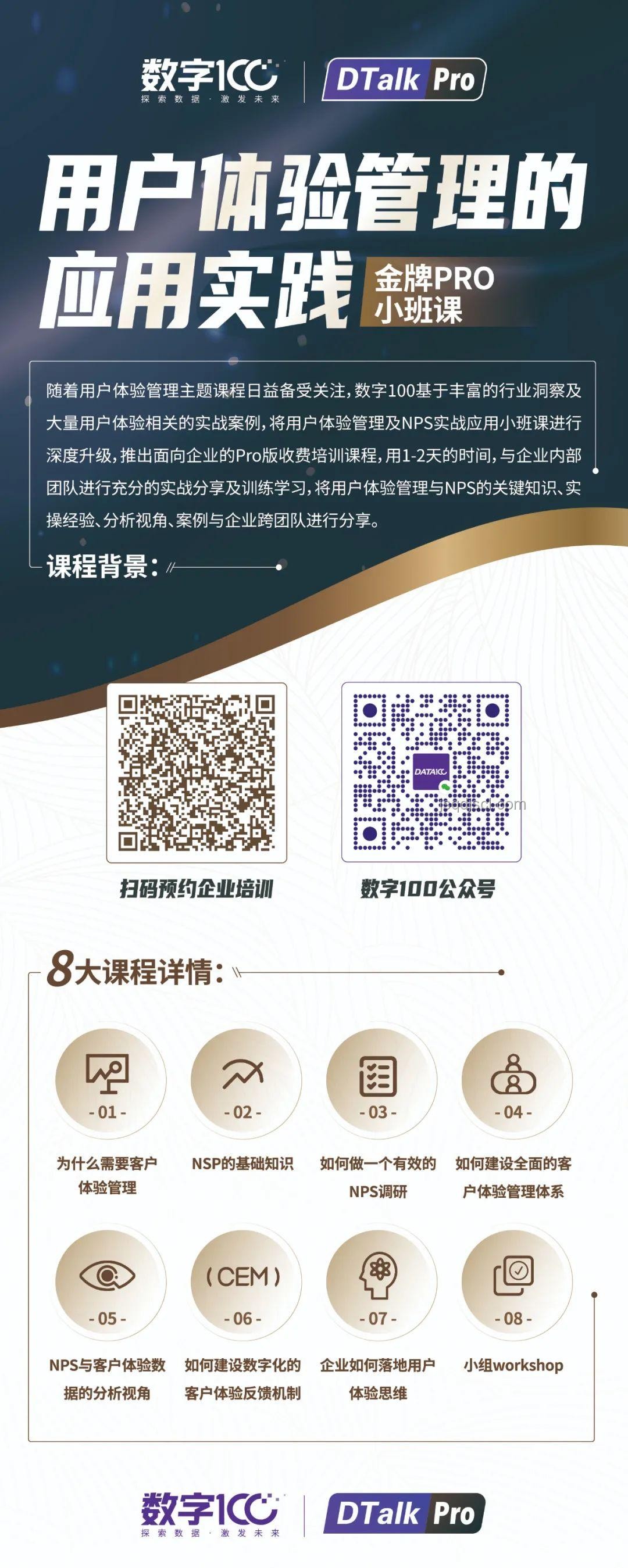 崩鐵白厄實戰體驗深度洞察