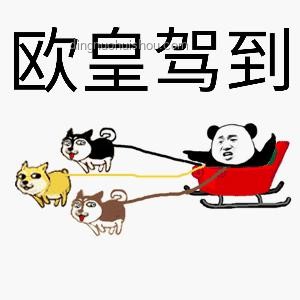 爐石開包日歐皇曬氣背后的數據分析與行業趨勢