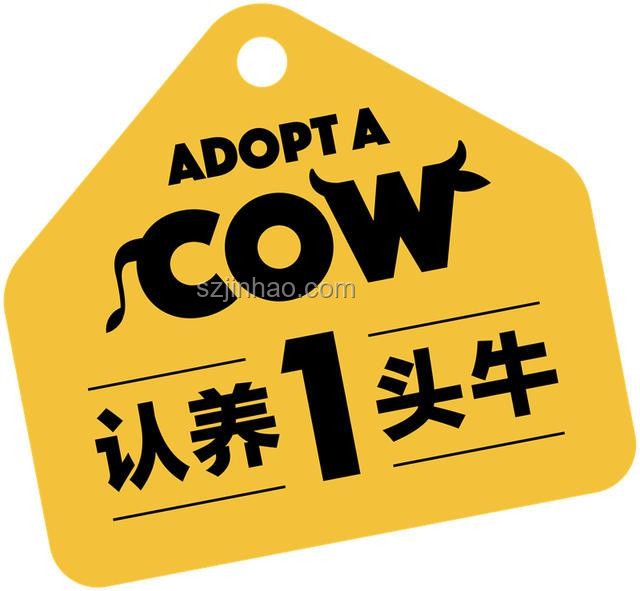 孫吧的頭像文化解析與行業洞察：社群認同與亞文化經濟