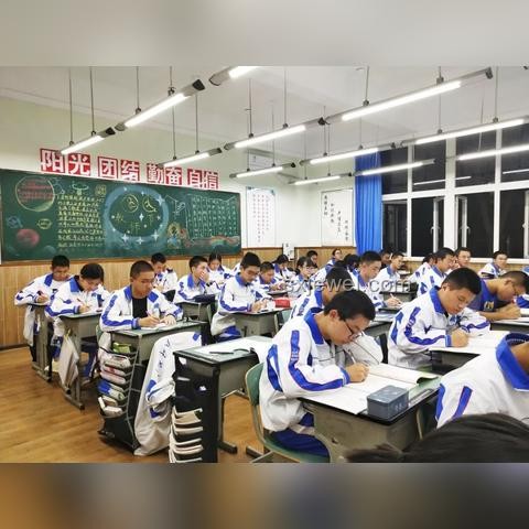 高中擇校：當雞頭還是鳳尾？實用擇校指南