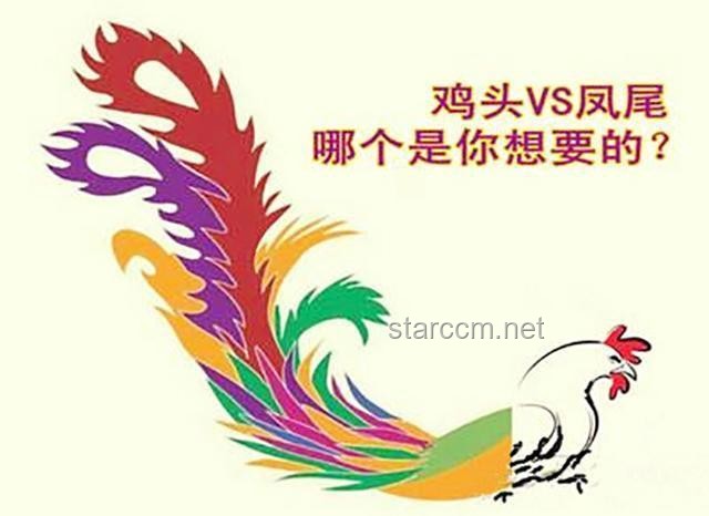 高中擇校：我選擇做雞頭還是鳳尾的親身經歷