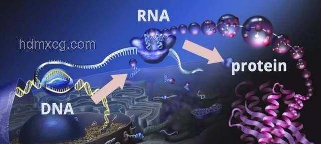 《章魚噼》：多元視角下的創新敘事探索，跨界融合新典范