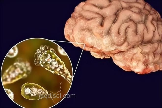 男童感染“食腦蟲”事件引發行業對水安全深度關注