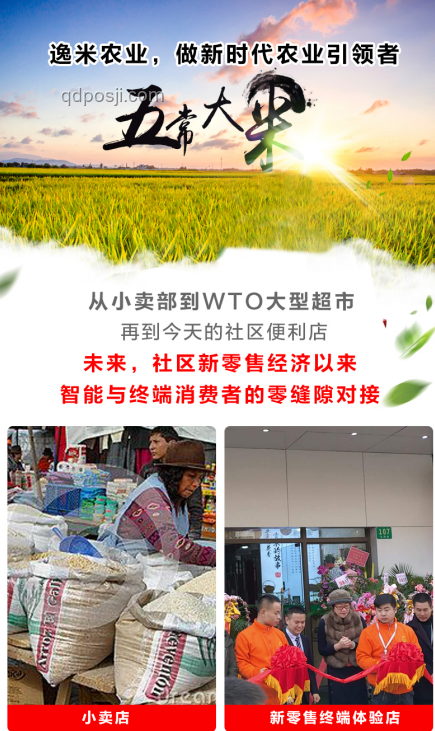 這家反華媒體黃了？創新思維的顛覆與重生