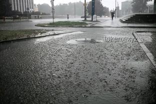 城市內澇解決方案探究：以湖北咸豐暴雨事件為例