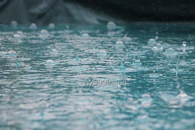 暴雨挑戰下的城市革新：智能生態海綿體構想