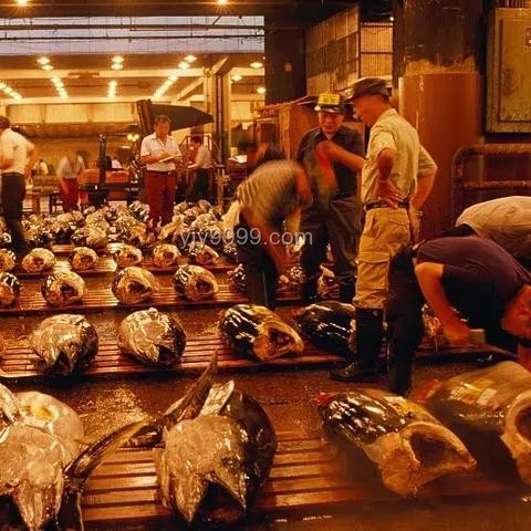 くら壽司大陸發(fā)展困境：兩年虧損8000萬，關(guān)停所有門店案例分析