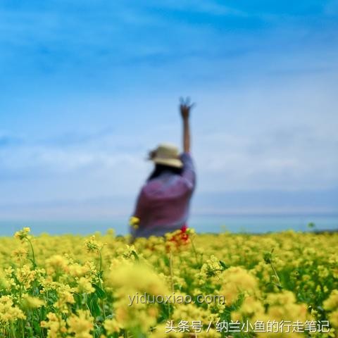 海島水資源差異洞察：臺灣缺水與海南島淡水充裕之謎