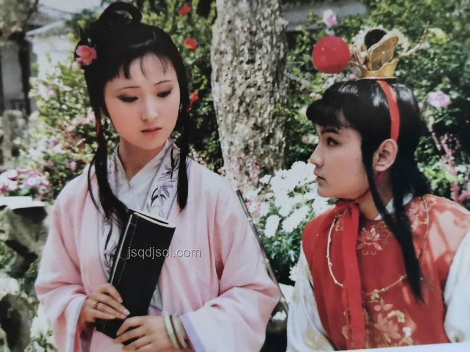 《紅樓夢》：一部深刻描繪女性現實悲劇的小說