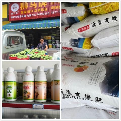 黃金真正的風險出現了：投資保值背后的隱憂